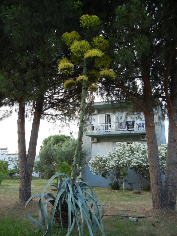 Pension Lakis Prínos Exteriér fotografie